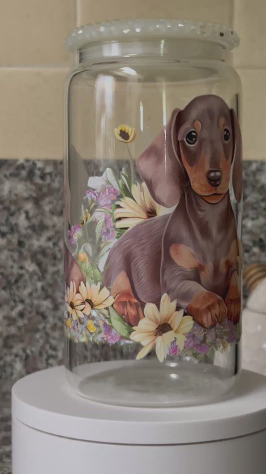 Dachshund 🐶